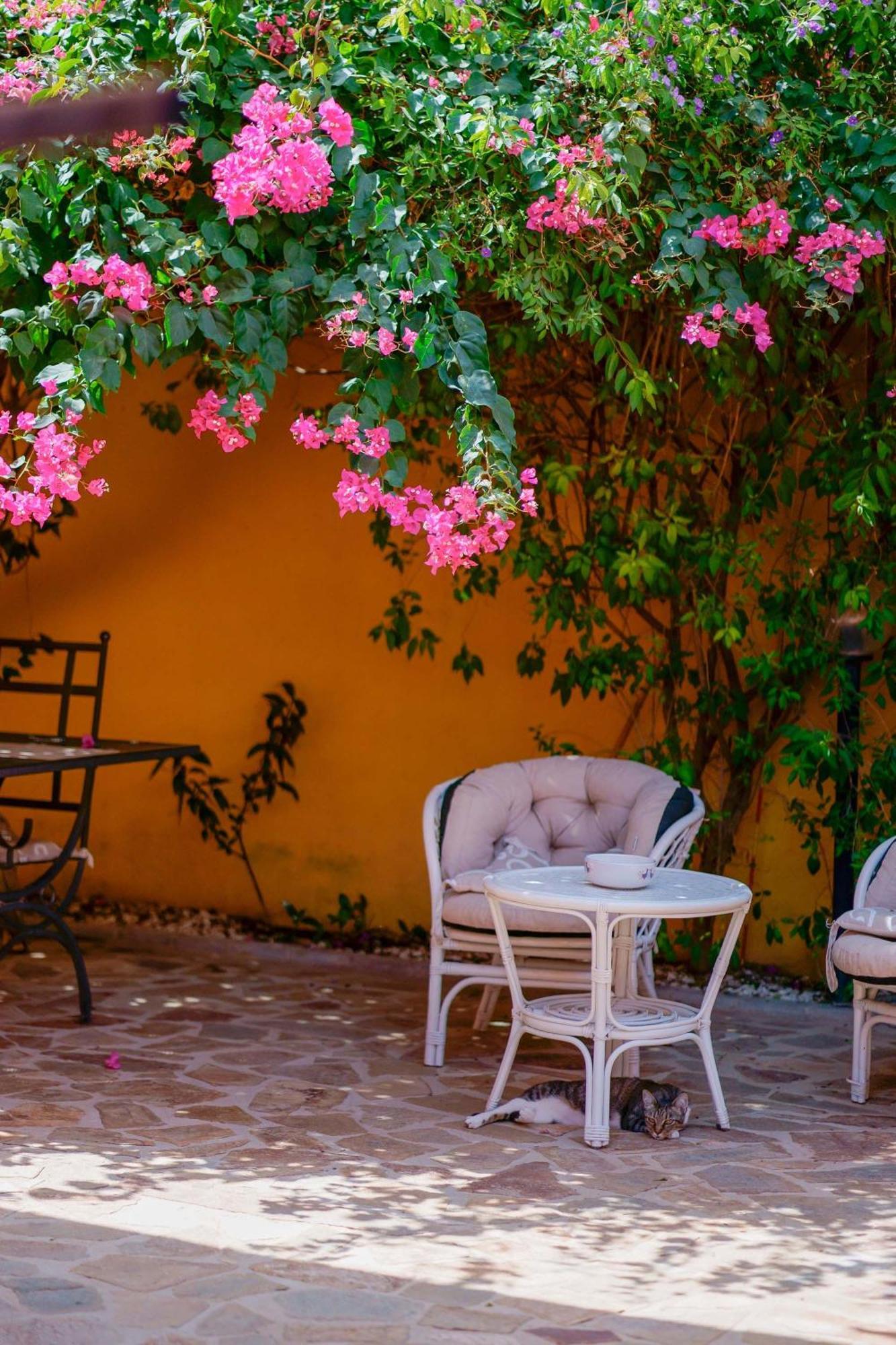 Il Piccolo Giardino Rooms & Breakfast Вилласимиус Экстерьер фото